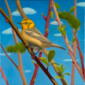 Bird I (Warbler)  12x12  2010